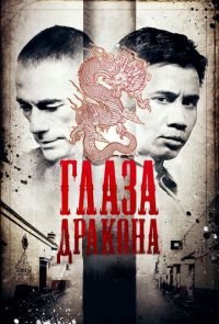 Глаза дракона (2012)