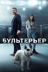 Бультерьер (2022)