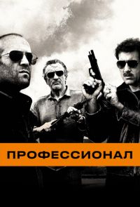 Профессионал (2011)